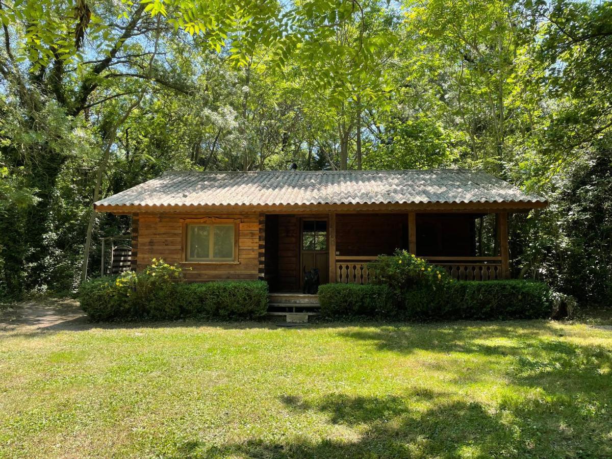 Chalet privé en Provence Saint-Rémy-de-Provence Extérieur photo