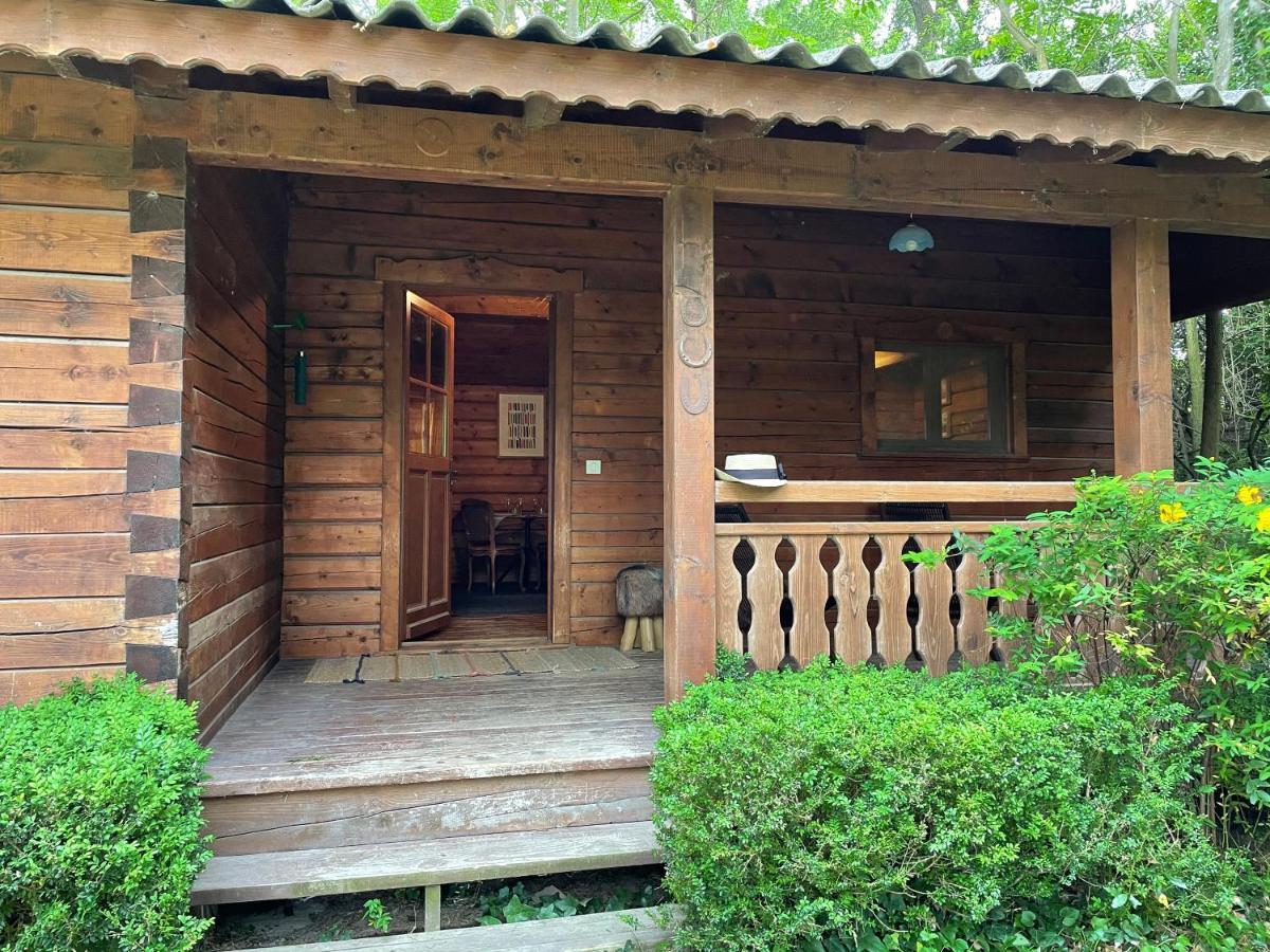 Chalet privé en Provence Saint-Rémy-de-Provence Extérieur photo